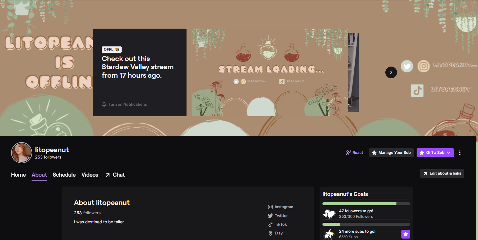 Twitch Page